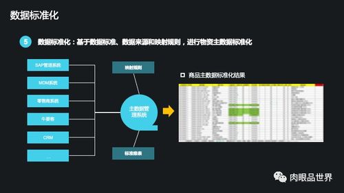 集團(tuán)數(shù)據(jù)管控與數(shù)據(jù)治理解決方案 數(shù)據(jù)處理服務(wù)的核心價(jià)值與實(shí)施路徑