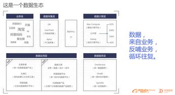 獨(dú)家解碼 1207億元背后的阿里數(shù)據(jù)生態(tài)與數(shù)據(jù)處理服務(wù)全景